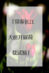 常泰长江大桥开展荷载试验