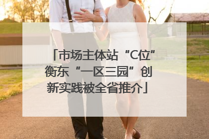 市场主体站“C位” 衡东“一区三园”创新实践被全省推介