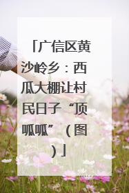 广信区黄沙岭乡：西瓜大棚让村民日子“顶呱呱”（图）