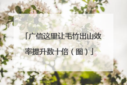 广信这里让毛竹出山效率提升数十倍（图）