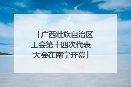 广西壮族自治区工会第十四次代表大会在南宁开幕