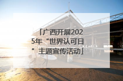 广西开展2025年“世界认可日”主题宣传活动