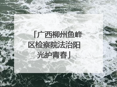 广西柳州鱼峰区检察院法治阳光护青春