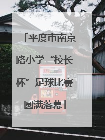 平度市南京路小学“校长杯”足球比赛圆满落幕