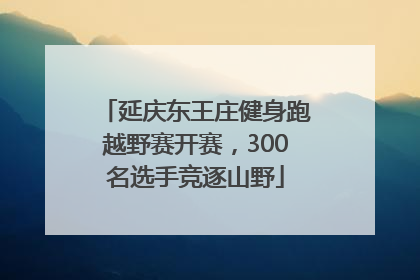 延庆东王庄健身跑越野赛开赛，300名选手竞逐山野