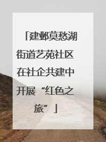 建邺莫愁湖街道艺苑社区在社企共建中开展“红色之旅”