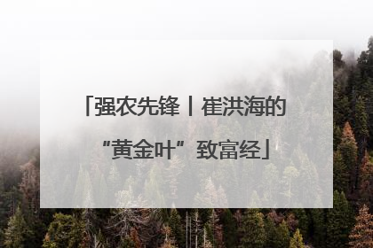 强农先锋丨崔洪海的“黄金叶”致富经