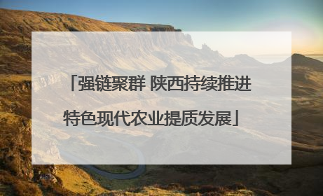 强链聚群 陕西持续推进特色现代农业提质发展