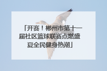开赛！郴州市第十一届社区篮球联赛点燃盛夏全民健身热潮