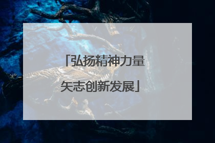 弘扬精神力量 矢志创新发展