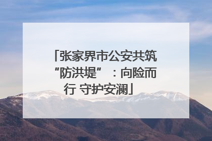 张家界市公安共筑“防洪堤”：向险而行 守护安澜