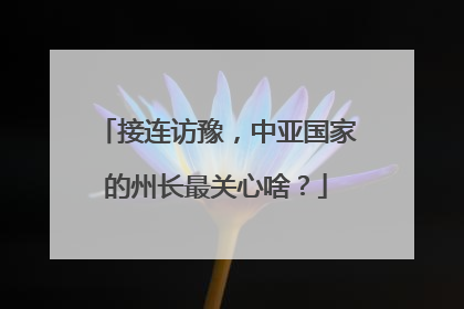 接连访豫，中亚国家的州长最关心啥？