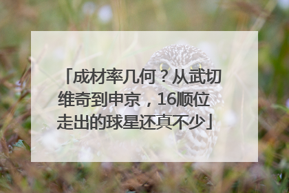 成材率几何？从武切维奇到申京，16顺位走出的球星还真不少