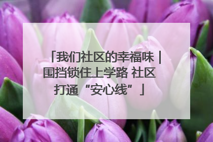 我们社区的幸福味｜围挡锁住上学路 社区打通“安心线”