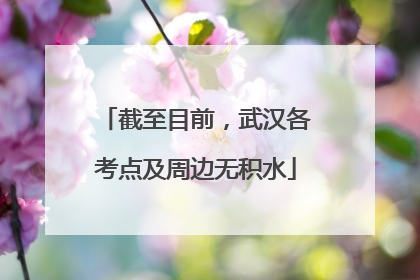 截至目前，武汉各考点及周边无积水