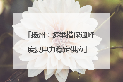 扬州：多举措保迎峰度夏电力稳定供应