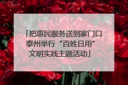 把惠民服务送到家门口 泰州举行“百姓日用”文明实践主题活动