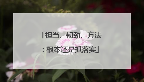 担当、韧劲、方法：根本还是抓落实