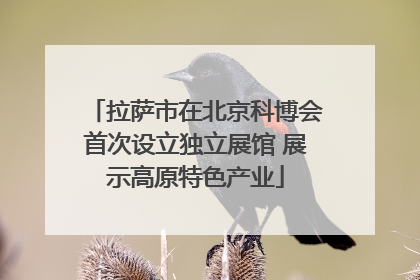 拉萨市在北京科博会首次设立独立展馆 展示高原特色产业