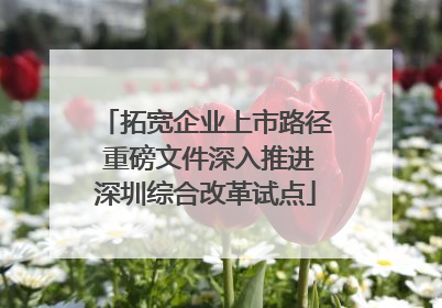 拓宽企业上市路径 重磅文件深入推进深圳综合改革试点