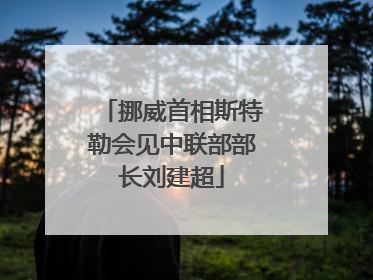 挪威首相斯特勒会见中联部部长刘建超