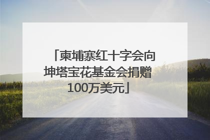 柬埔寨红十字会向坤塔宝花基金会捐赠100万美元