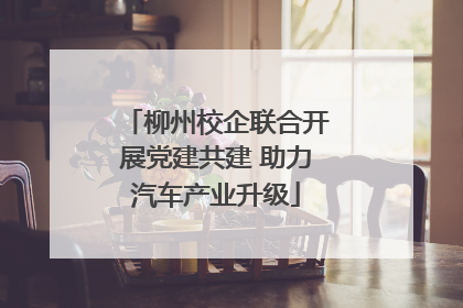 柳州校企联合开展党建共建 助力汽车产业升级