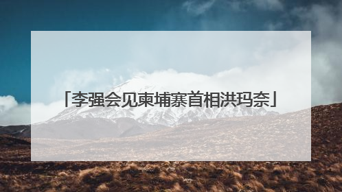 李强会见柬埔寨首相洪玛奈