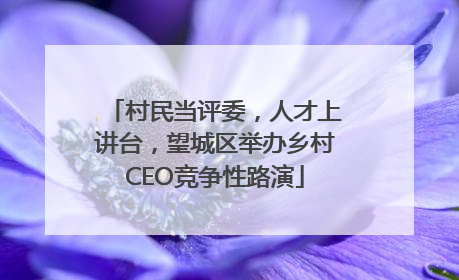 村民当评委，人才上讲台，望城区举办乡村CEO竞争性路演