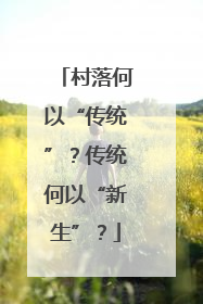 村落何以“传统”？传统何以“新生”？