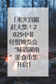 来火宫殿赶大集！2025中非经贸博览会“味道湖南”美食市集开启