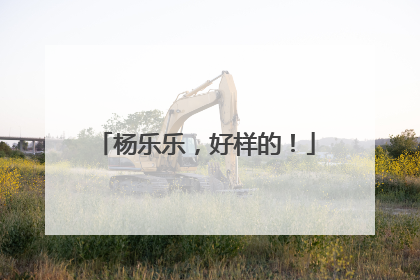 杨乐乐，好样的！