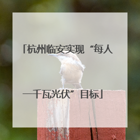 杭州临安实现“每人一千瓦光伏”目标