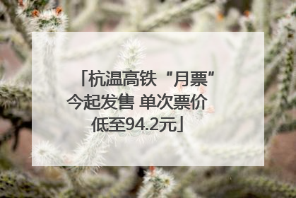 杭温高铁“月票”今起发售 单次票价低至94.2元