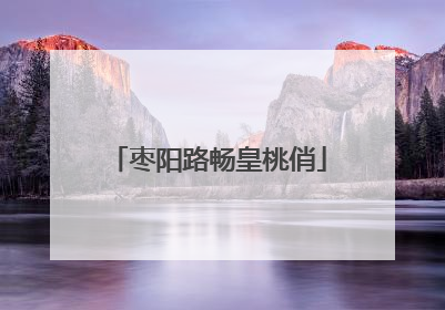 枣阳路畅皇桃俏