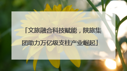 文旅融合科技赋能，陕旅集团助力万亿级支柱产业崛起