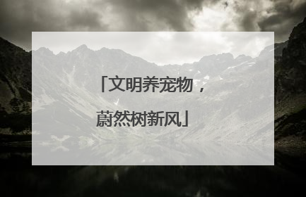 文明养宠物，蔚然树新风