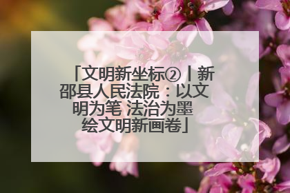 文明新坐标②丨新邵县人民法院：以文明为笔 法治为墨 绘文明新画卷