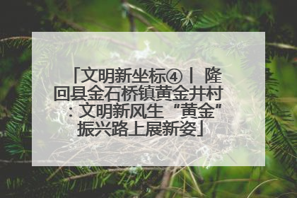 文明新坐标④丨 隆回县金石桥镇黄金井村：文明新风生“黄金” 振兴路上展新姿