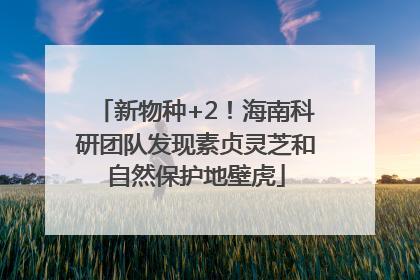 新物种+2！海南科研团队发现素贞灵芝和自然保护地壁虎