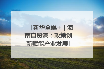 新华全媒+｜海南自贸港：政策创新赋能产业发展