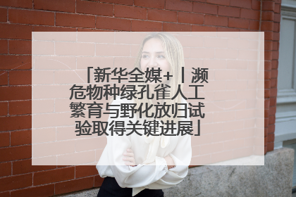 新华全媒+丨濒危物种绿孔雀人工繁育与野化放归试验取得关键进展