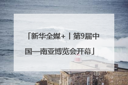 新华全媒+丨第9届中国—南亚博览会开幕