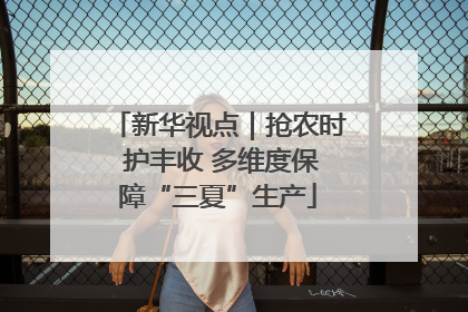新华视点｜抢农时 护丰收 多维度保障“三夏”生产