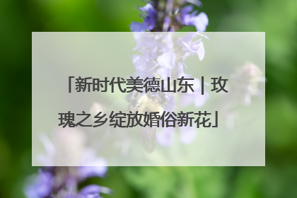 新时代美德山东｜玫瑰之乡绽放婚俗新花