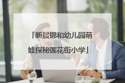 新晨锦和幼儿园萌娃探秘莲花街小学
