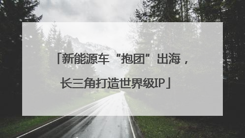 新能源车“抱团”出海，长三角打造世界级IP