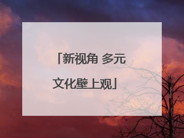 新视角 多元文化壁上观