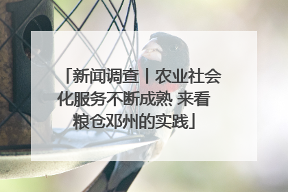 新闻调查丨农业社会化服务不断成熟 来看粮仓邓州的实践