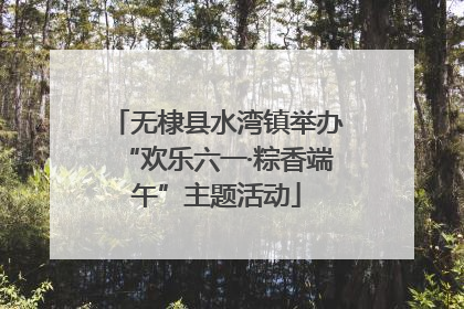 无棣县水湾镇举办“欢乐六一·粽香端午”主题活动